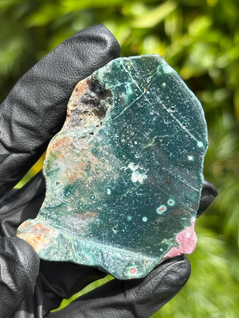 Green Ocean Jasper Freeform - Polished Sea Jasper